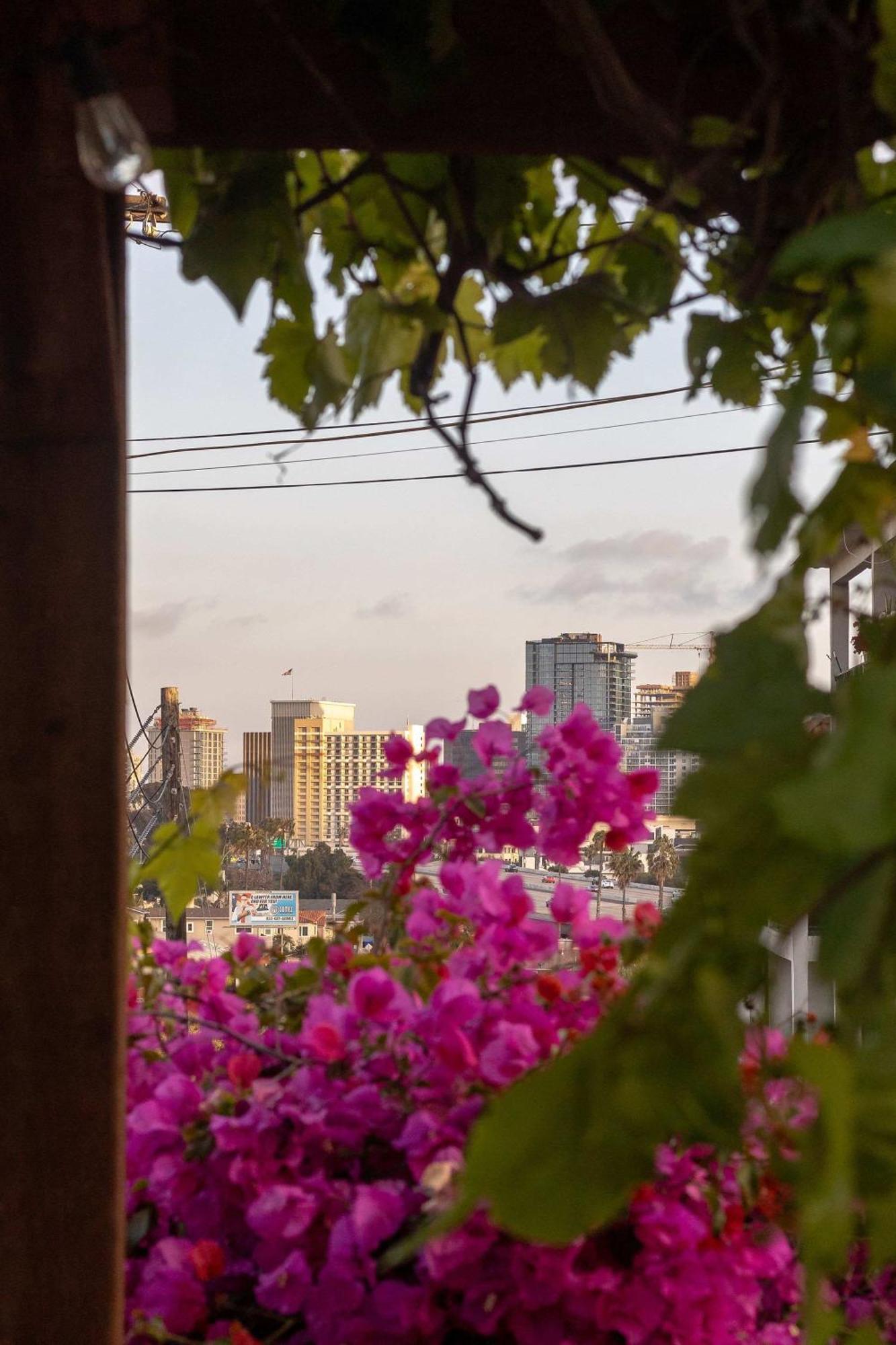 Water And Downtown Views 5 Min To Zoo & Airport Holiday home